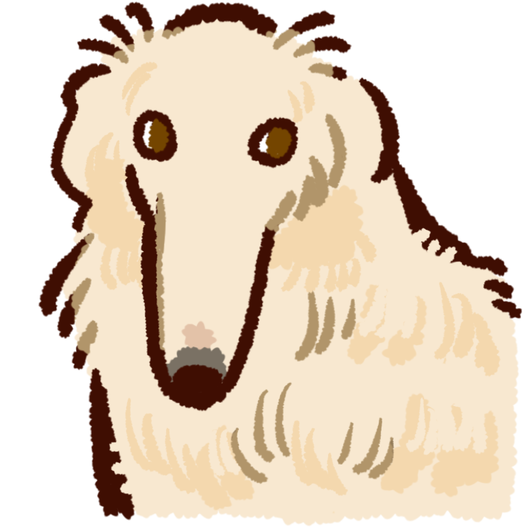 the head and shoulders of a borzoi viewed from the front.